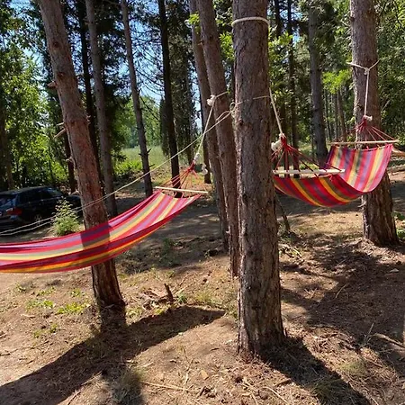 Delightful Beach & Forest Caravan Campsite