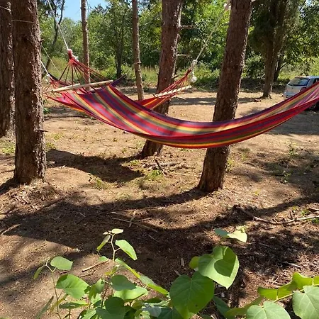 Delightful Beach & Forest Caravan Chernomorets